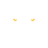 Leopard / Head / Eyes