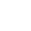 Chow Chow Dog