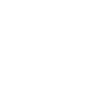 Indian Skull Chief