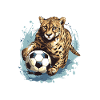 Cheetah Football Team