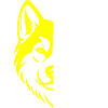 Akita dog