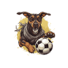 Doberman Dog Football Sports