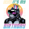 Birthday Gamer VR