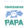 Pomeranian Pomeranian Dogs Dad