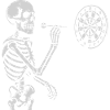 Skeleton playing darts game