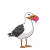 Gesucht Möwe Eiscreme Abenteuer