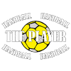 HANDBALL - THE PLAYER