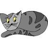 Katze
