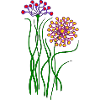 Fleur