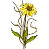 Fleur