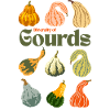 Diversity of Gourds
