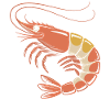 Retro Garnelen-Illustration in Orange