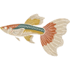 Bunter Tropenfisch Sailfin