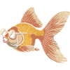 Goldfish with glasses cartoon