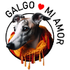 Galgo in a warm scarf