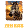 Zèbres Zèbre