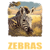 Zèbres Zèbre