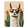 lama