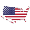 USA Flag Contour Motif