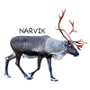 NARVIK