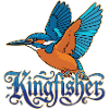 kingfishers