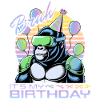 Birthday Gamer VR
