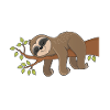 Faul, aber Partiell Aktiv Faultier