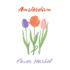 Amsterdam Tulips
