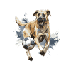 Kangal Dog Football Team