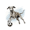 Greyhound Dog Football Team