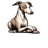 Prata med Paw Whippet Greyhound Whippets