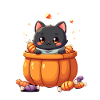 Halloween Cat with Halloween Pumpkin
