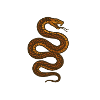 Brown coiled snake