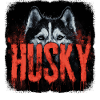 Chien husky – Hunde Portrait Design