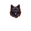 Don't judge my Schipperke and I