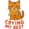 Crying My Best Cat