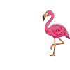 Ciao Bella