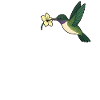 Ciao Bella