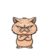 Something like nope - cat says no