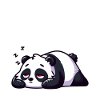 Bearly Awake Panda Illustration