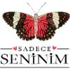 Creative Butterfly Design – Sadece Seninim