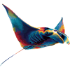 Manta Ray, Devil Ray, Stingray, Diver