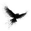 Black Raven in Ink Flight