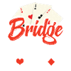 Bridge Is My Retirement Plan