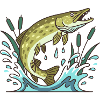 Pike fishing predatory fish