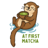 Otter with matcha enjoyment