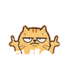 Middle Finger Cat 50 Birthday
