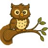 Cute Forest Owl on Branch