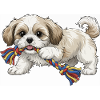 Shih tzu puppy playing png