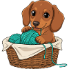 Chiot teckel dans un panier